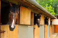 free Upton Park stable construction quotes